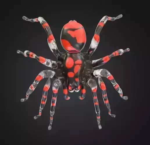 Halloween Spider Low-poly 3D model