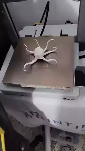 Alien Parasite Ocellus