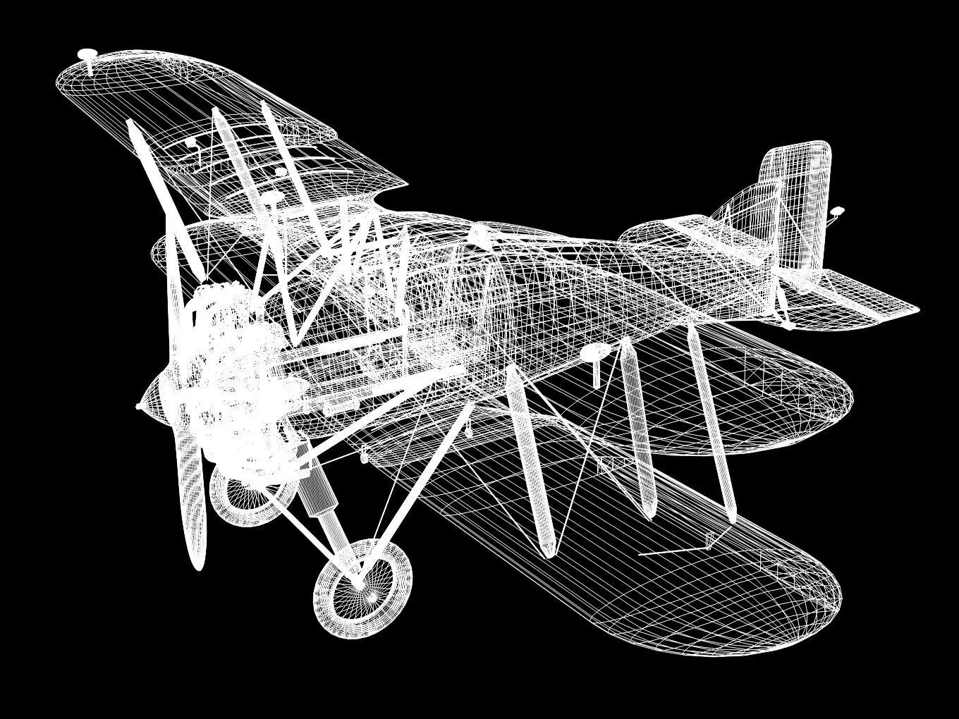 Gloster Gamecock 3D model_13