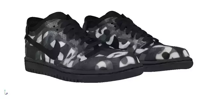 CDG x Nike Dunk low comme des garcons v2