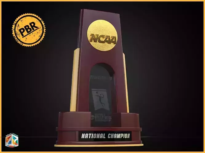 Women Volleyball division 3