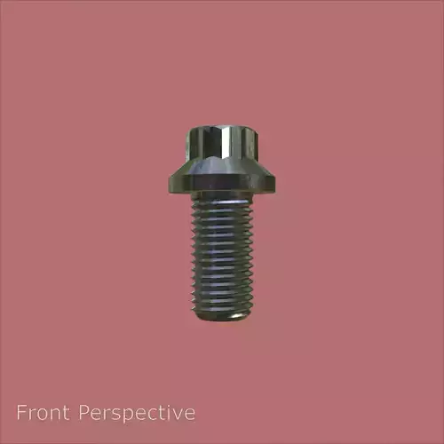 Steel Stained M6 12 Point Bolt 4K PBR 3D model 2