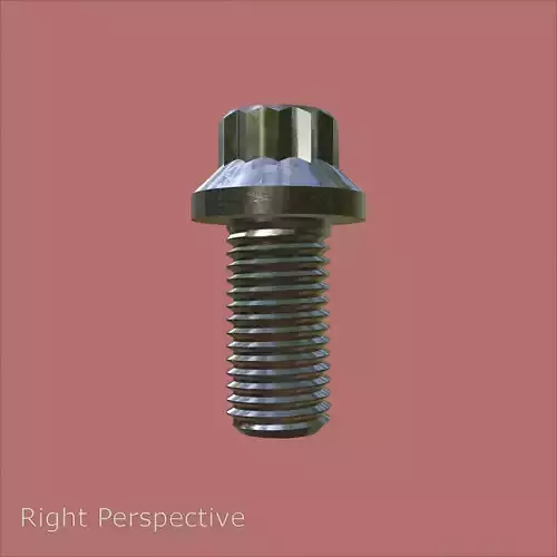 Steel Stained M8 12 Point Bolt 4K PBR 3D model 5