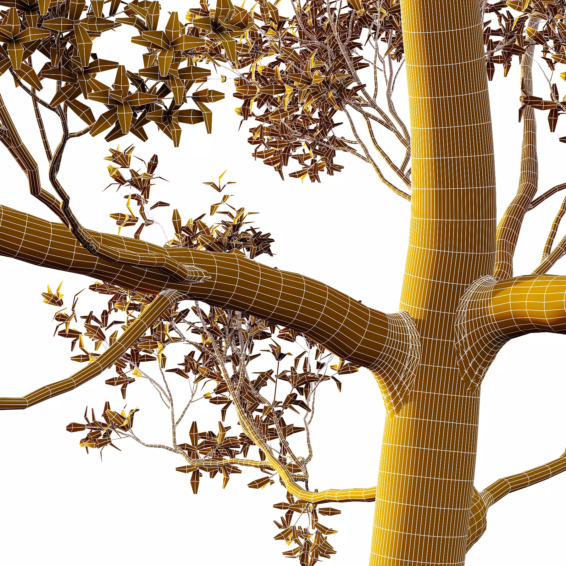 Different Trees 45 3D model_4