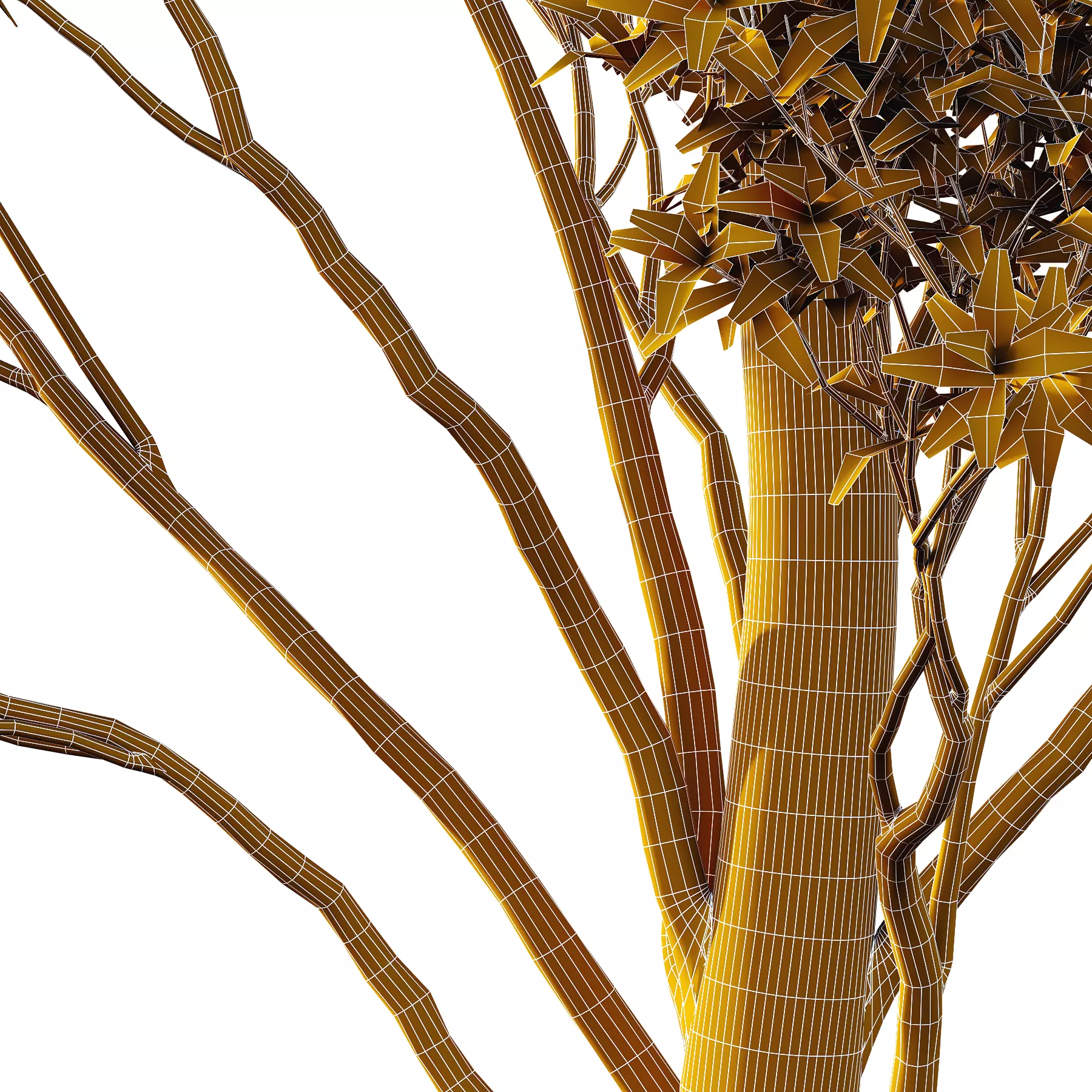 Different Trees 41 3D model_4