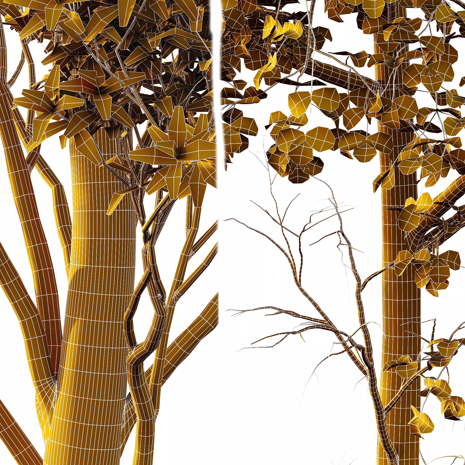 Different Trees 43 3D model_3