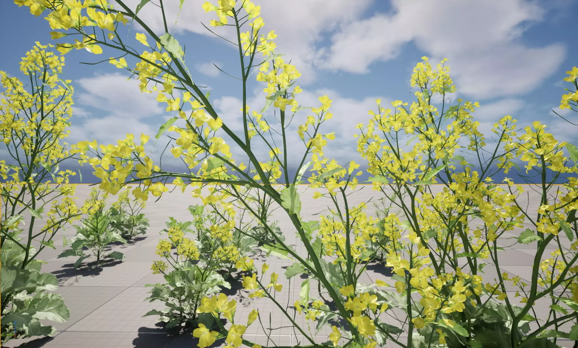 Wind UE5 Plants - Brassica juncea - Chinese Mustard Low-poly 3D model_15