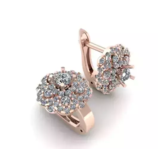 Earrings Full Diamond CG17
