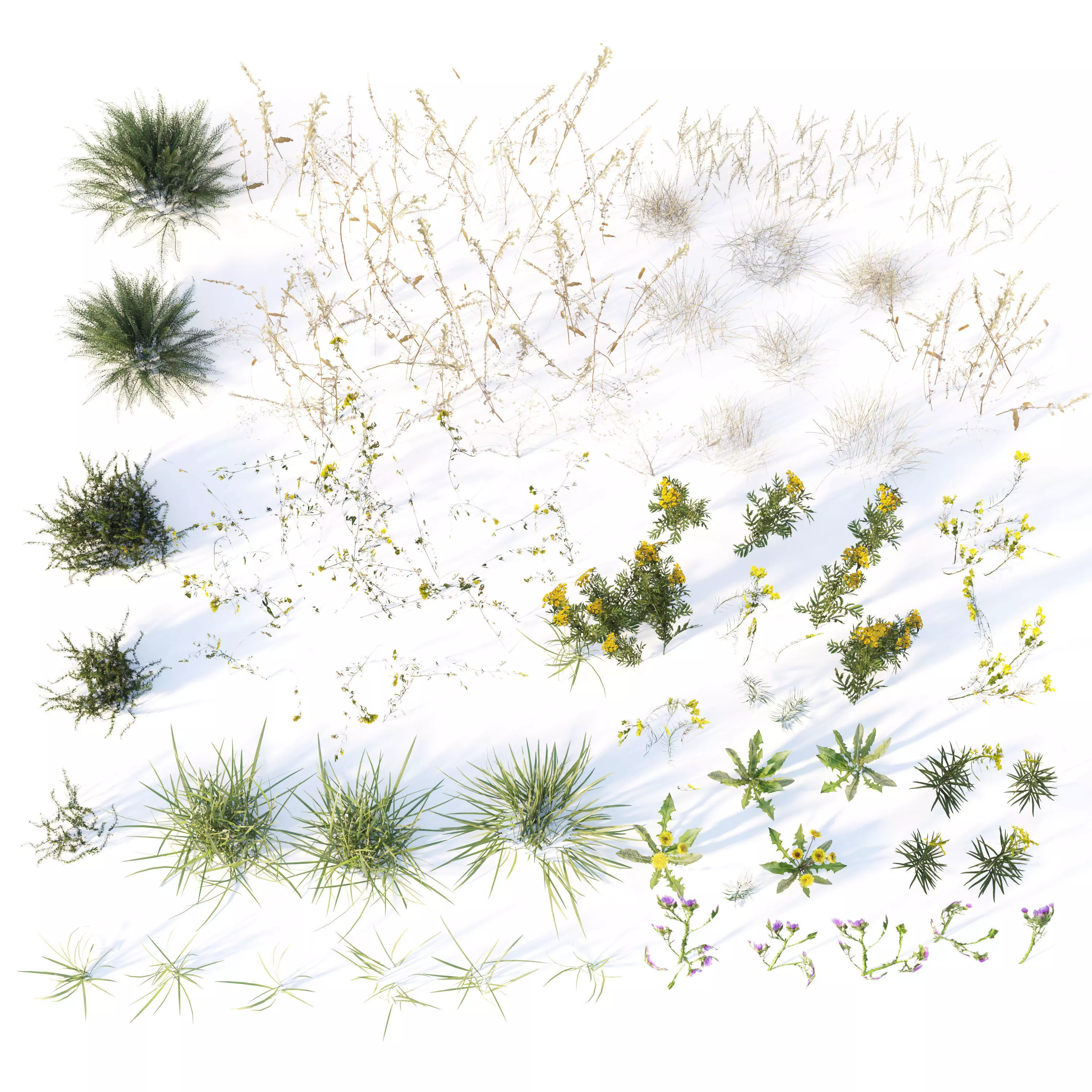 Autumn grass with flowers 3D model_3