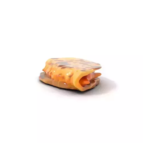 Cheesy Quesadilla model pack