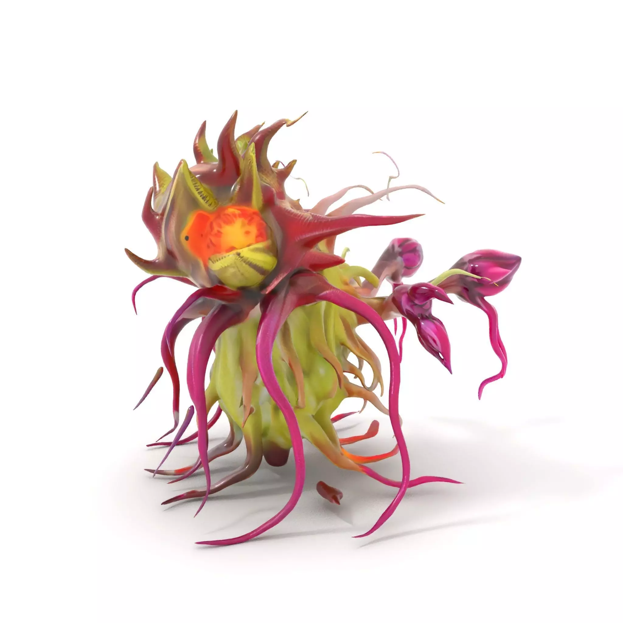 Alien Flora Burst model pack Low-poly 3D model_0