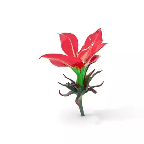 Crimson Tropical Flower model pack