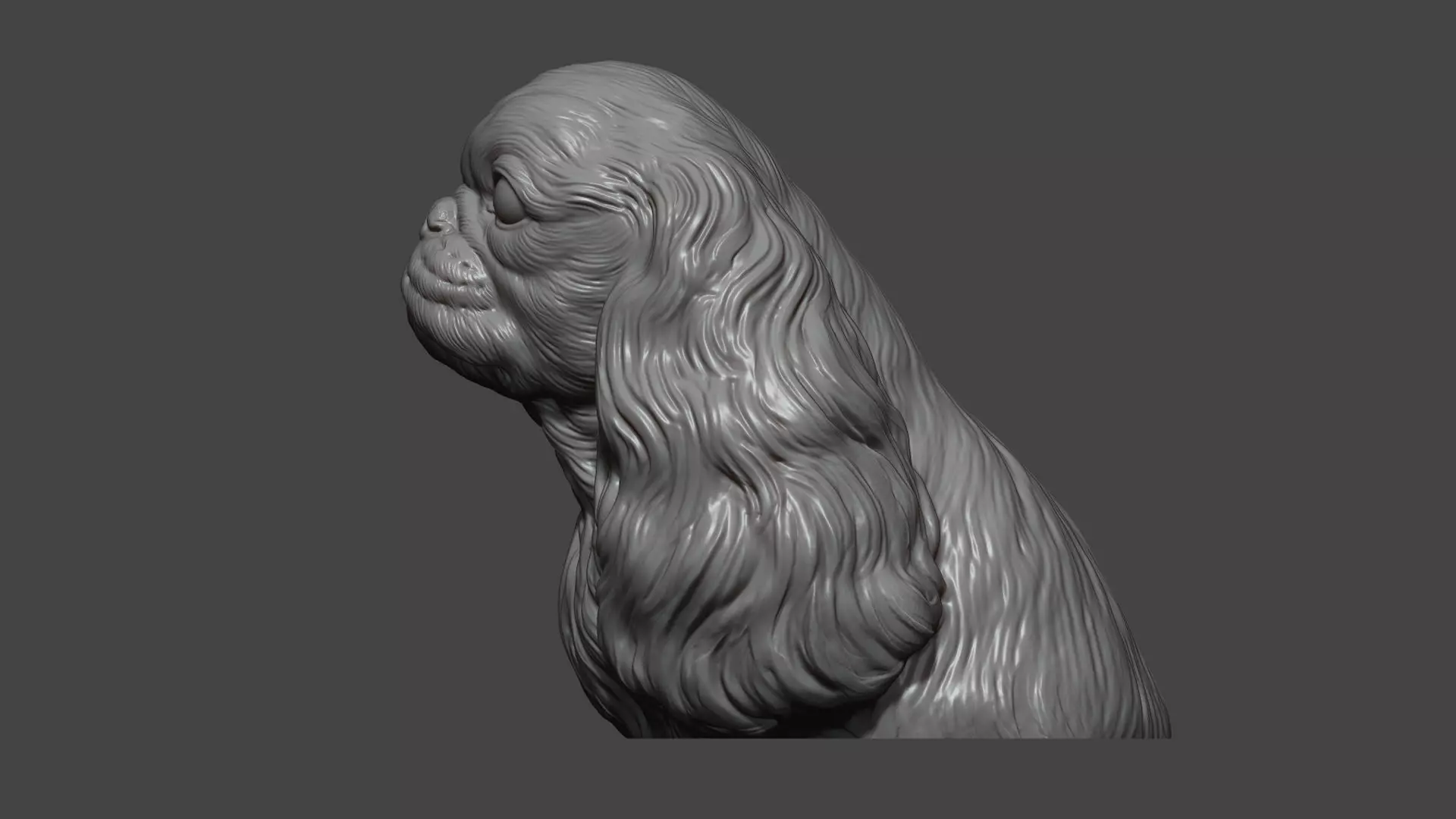 English Toy Spaniel bust 3D print model_5