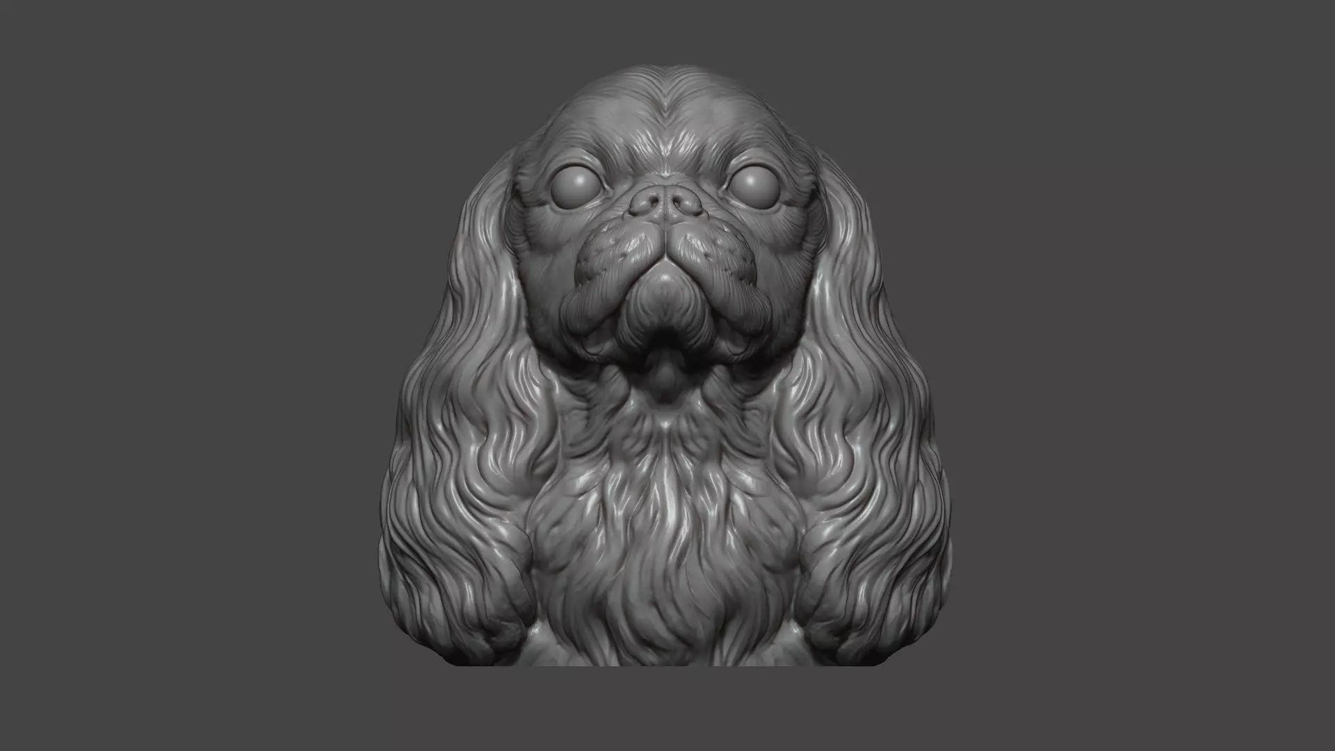 English Toy Spaniel bust 3D print model_6