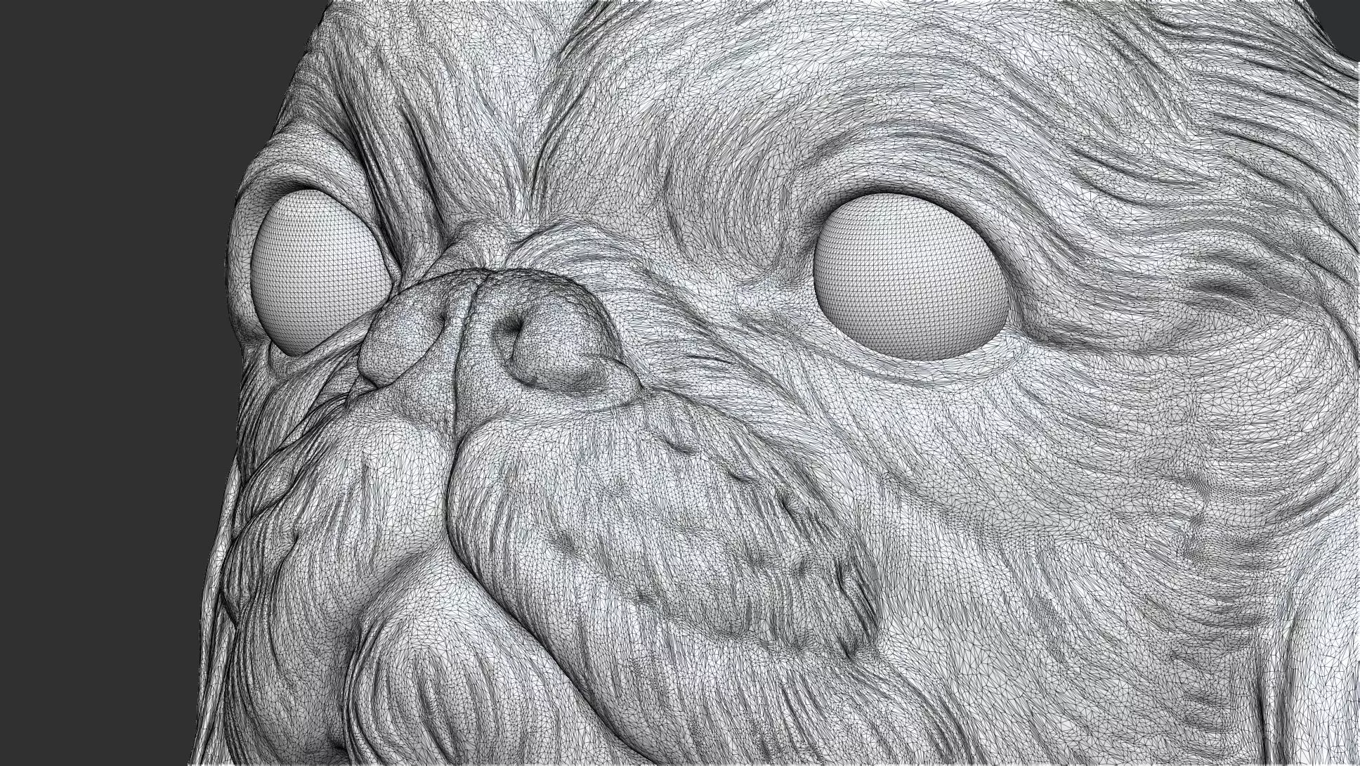 English Toy Spaniel bust 3D print model_26