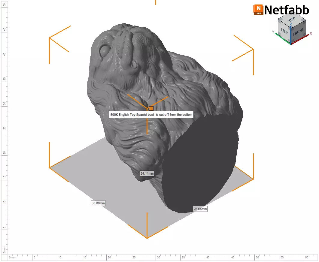 English Toy Spaniel bust 3D print model_27