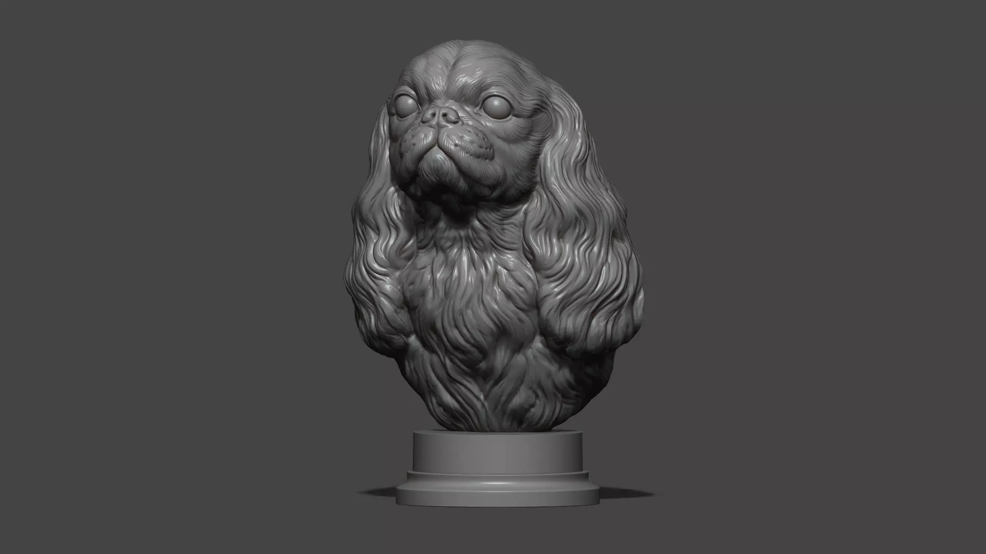 English Toy Spaniel bust 3D print model_20