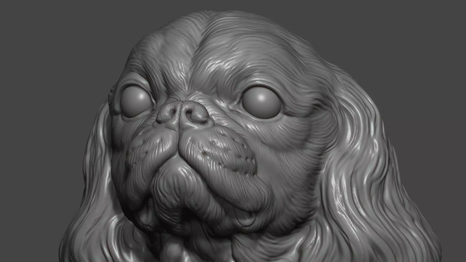 English Toy Spaniel bust 3D print model_16