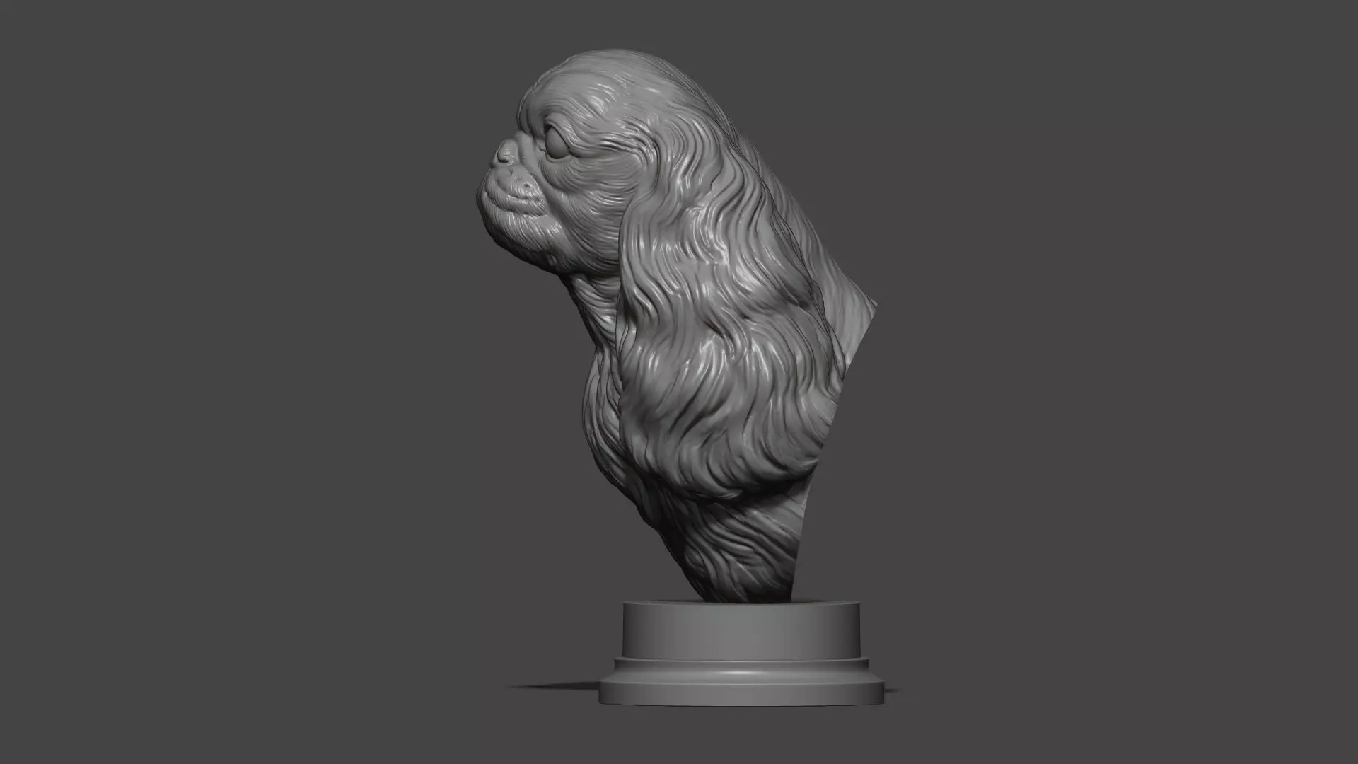 English Toy Spaniel bust 3D print model_19
