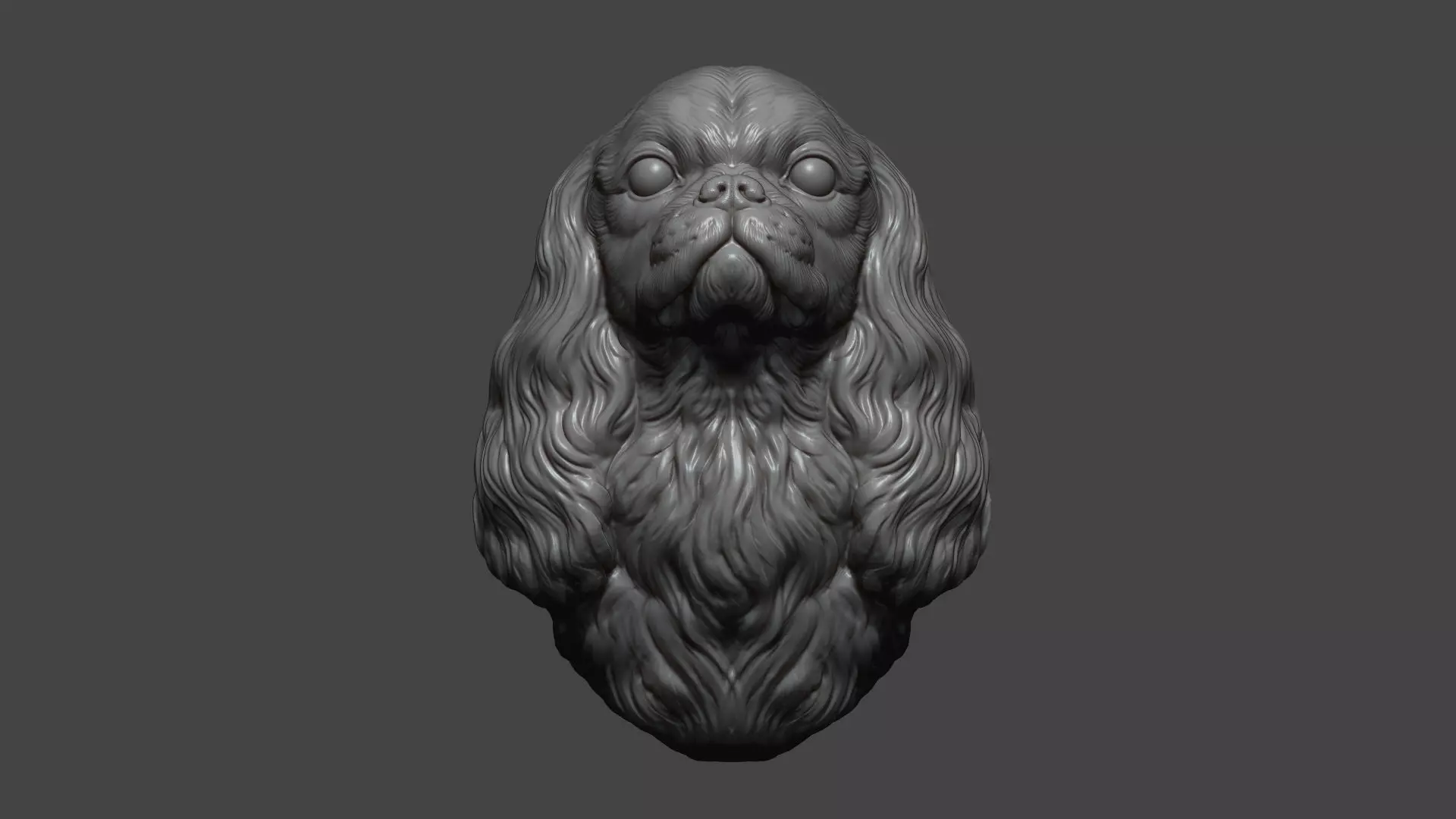 English Toy Spaniel bust 3D print model_11