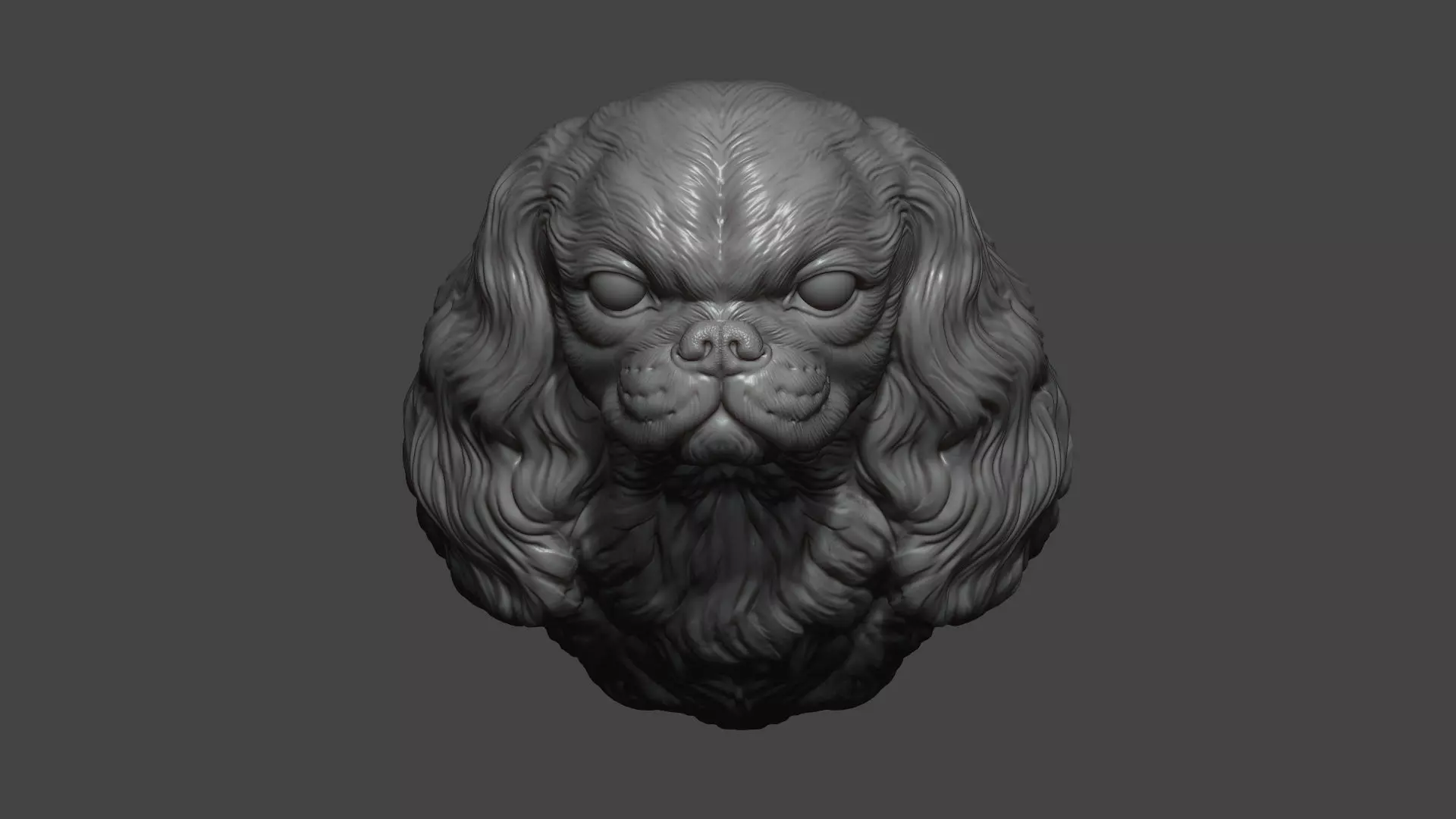 English Toy Spaniel bust 3D print model_17