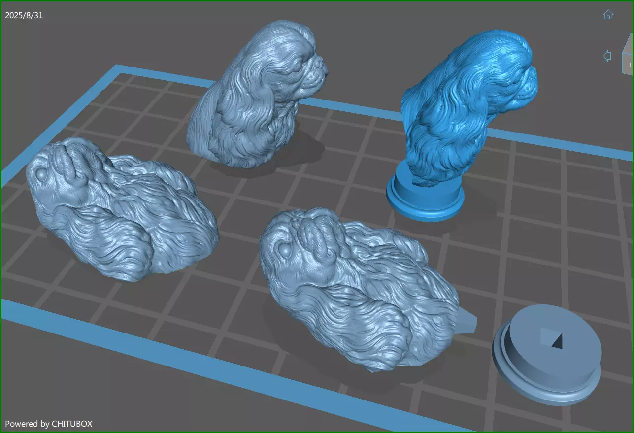 English Toy Spaniel bust 3D print model_1