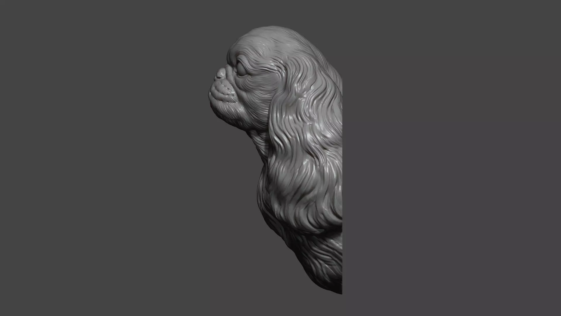 English Toy Spaniel bust 3D print model_13
