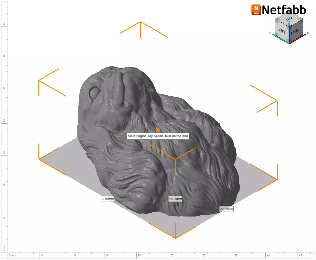 English Toy Spaniel bust 3D print model_29