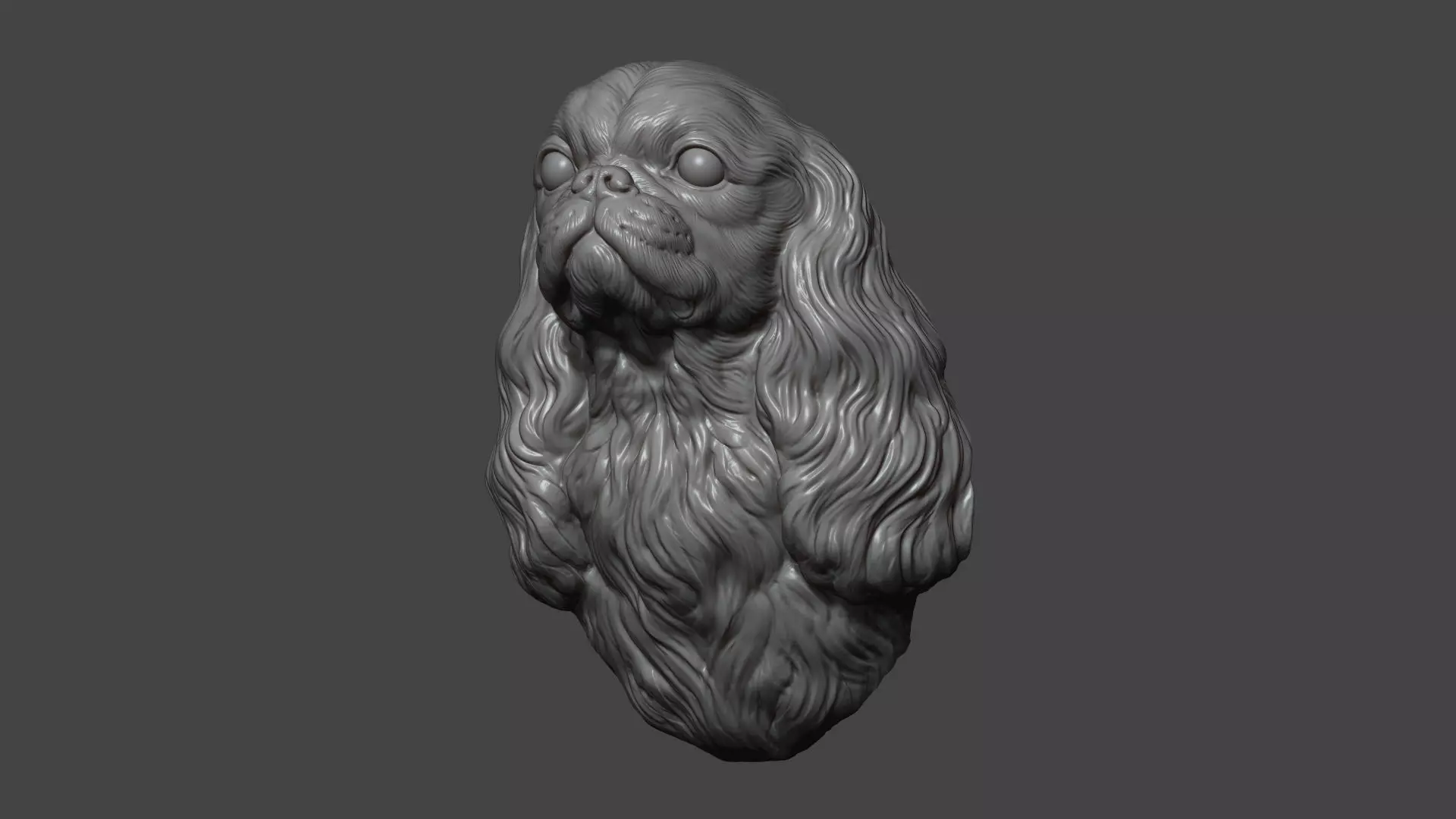 English Toy Spaniel bust 3D print model_12