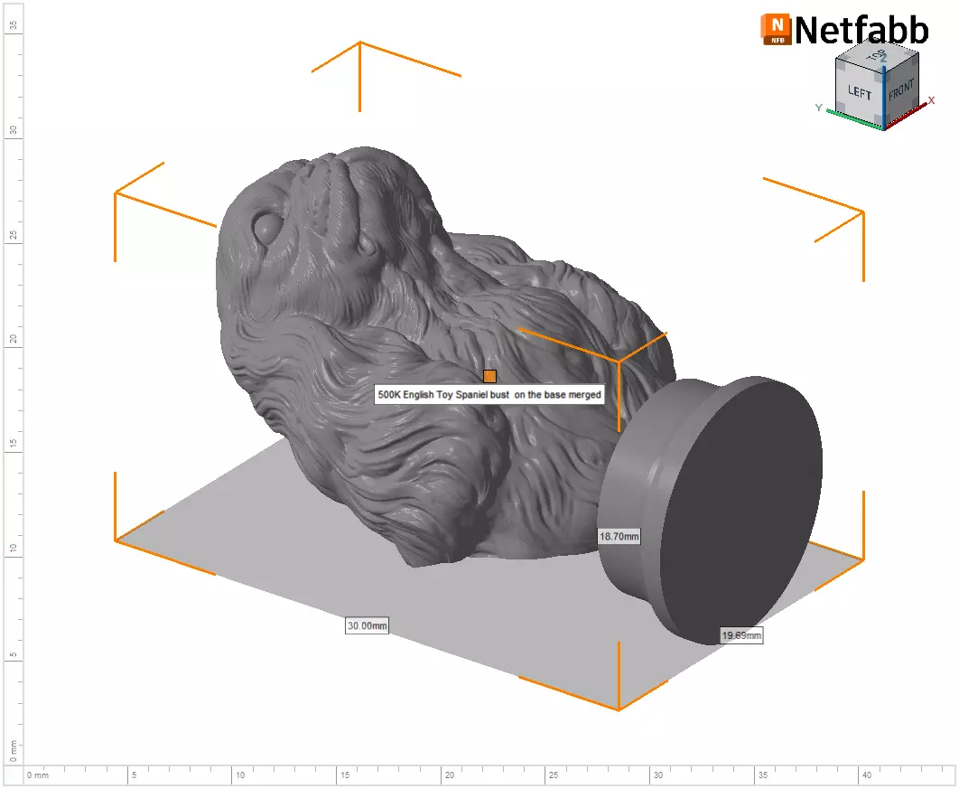 English Toy Spaniel bust 3D print model_28