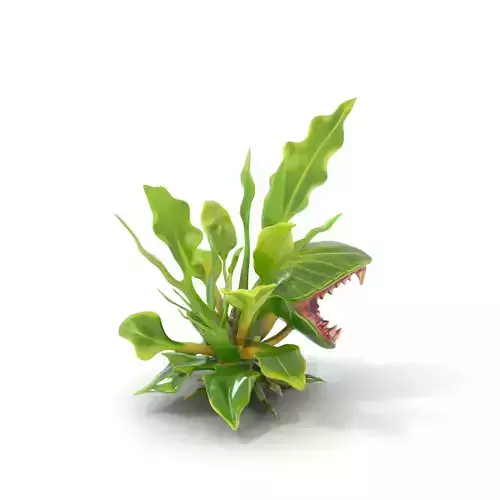 Carnivorous Plant model pack