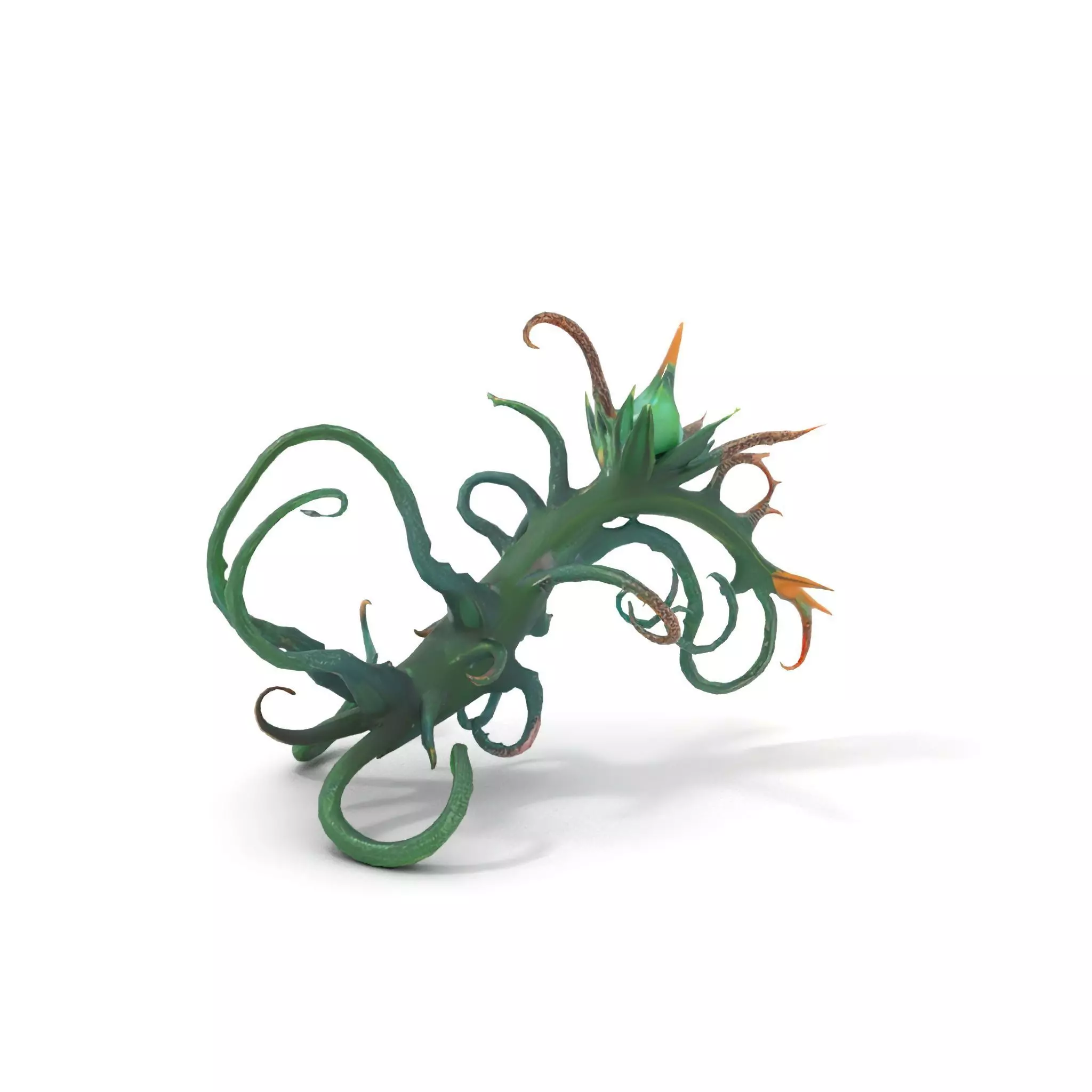 Twisted Emerald Thorns model pack Low-poly 3D model_13