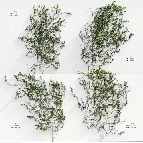 Ivy for fences - 4 easy models