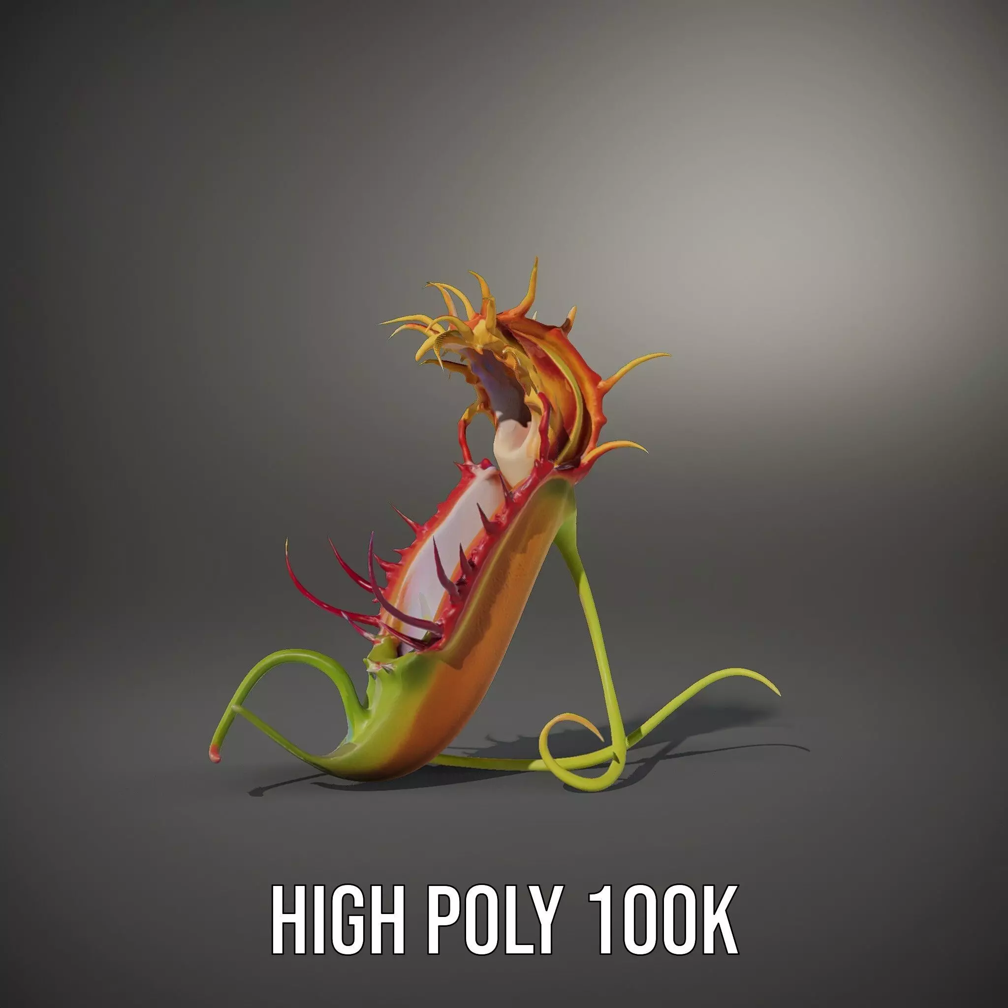 Vibrant Venus Flytrap model pack Low-poly 3D model_9