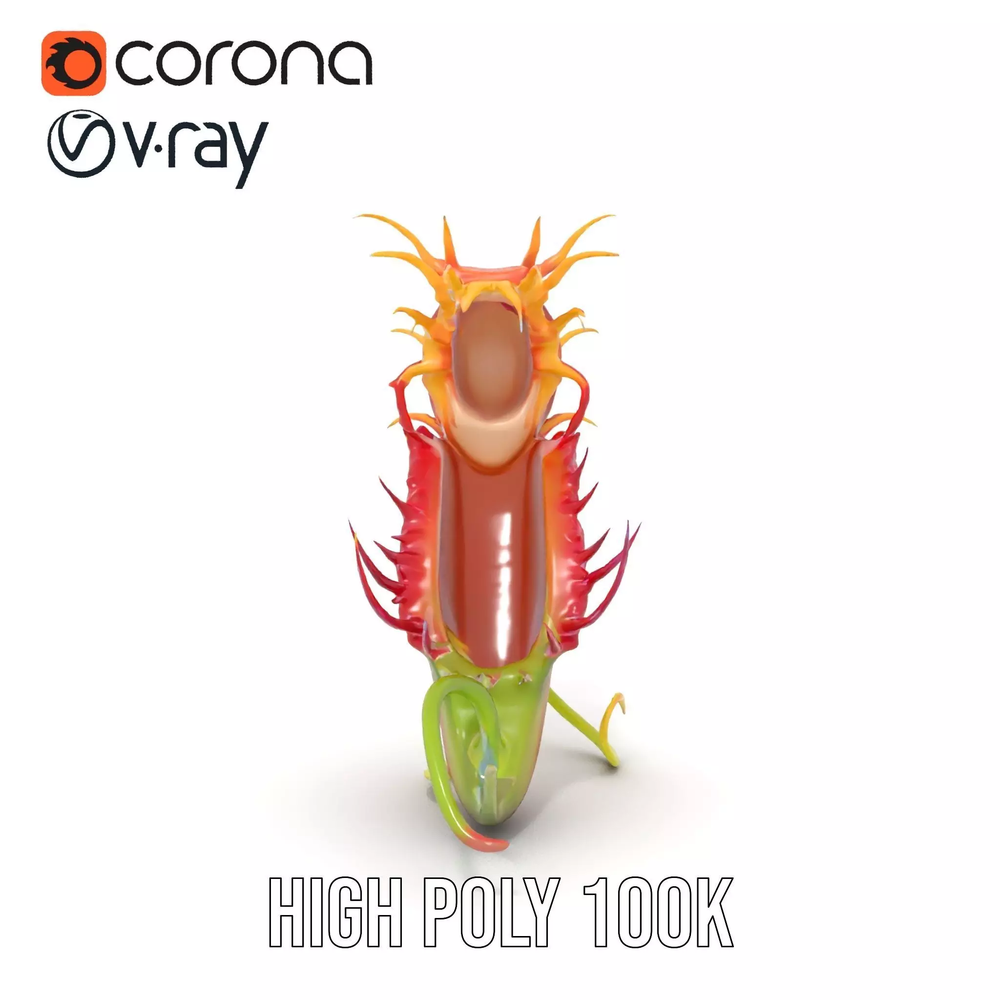 Vibrant Venus Flytrap model pack Low-poly 3D model_19