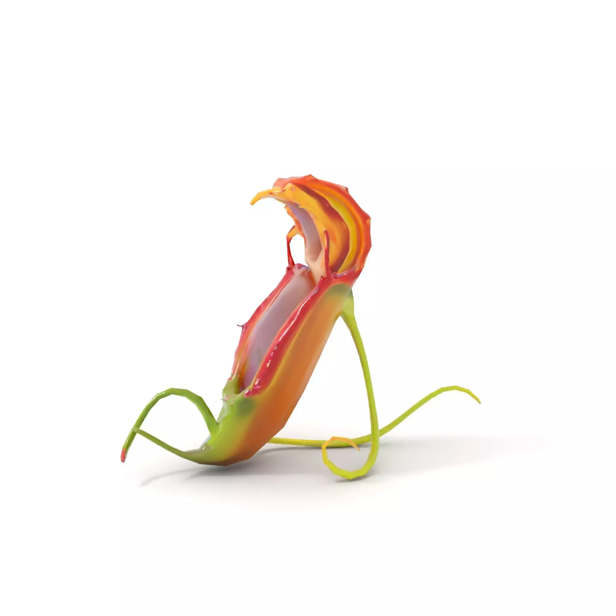 Vibrant Venus Flytrap model pack Low-poly 3D model_13