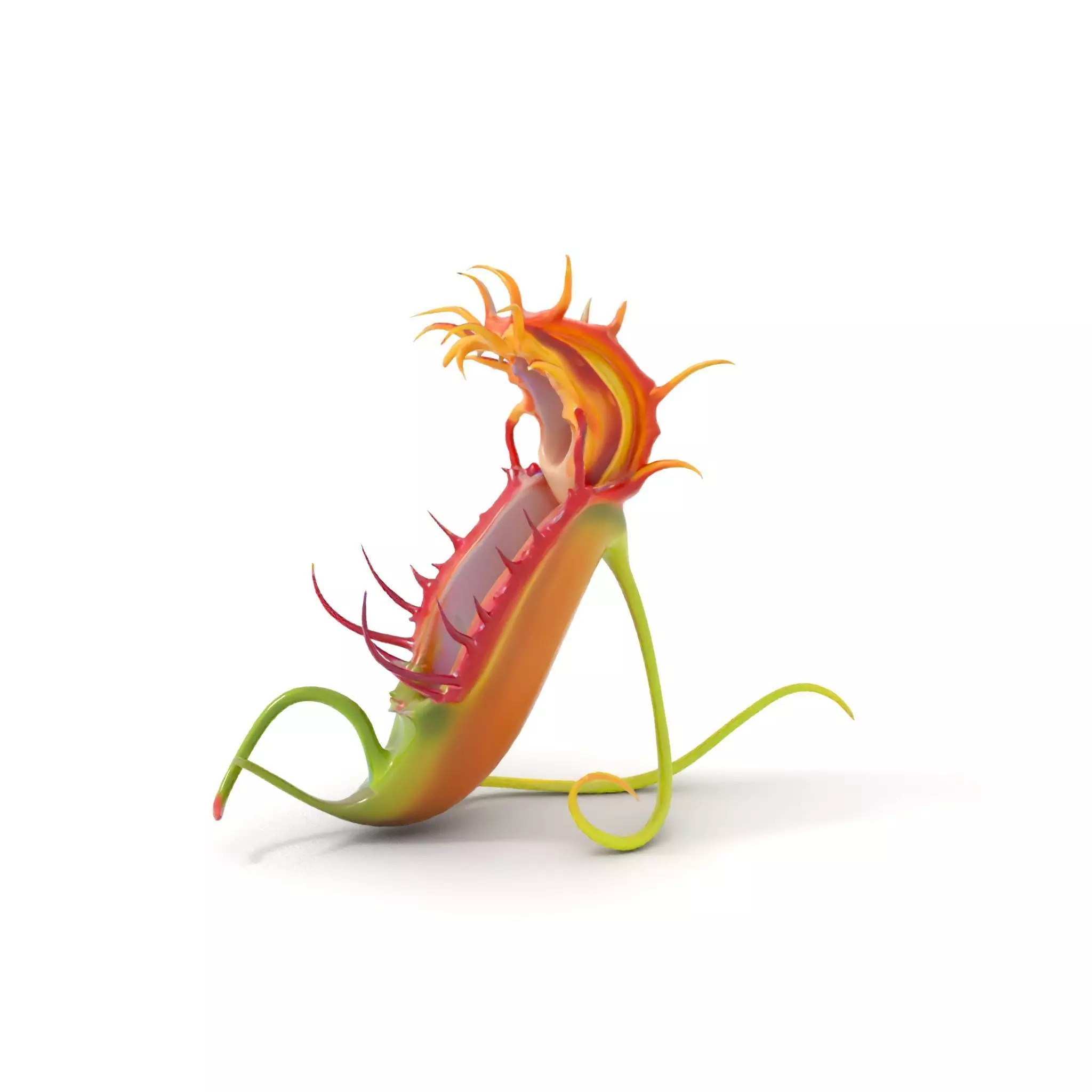 Vibrant Venus Flytrap model pack Low-poly 3D model_6