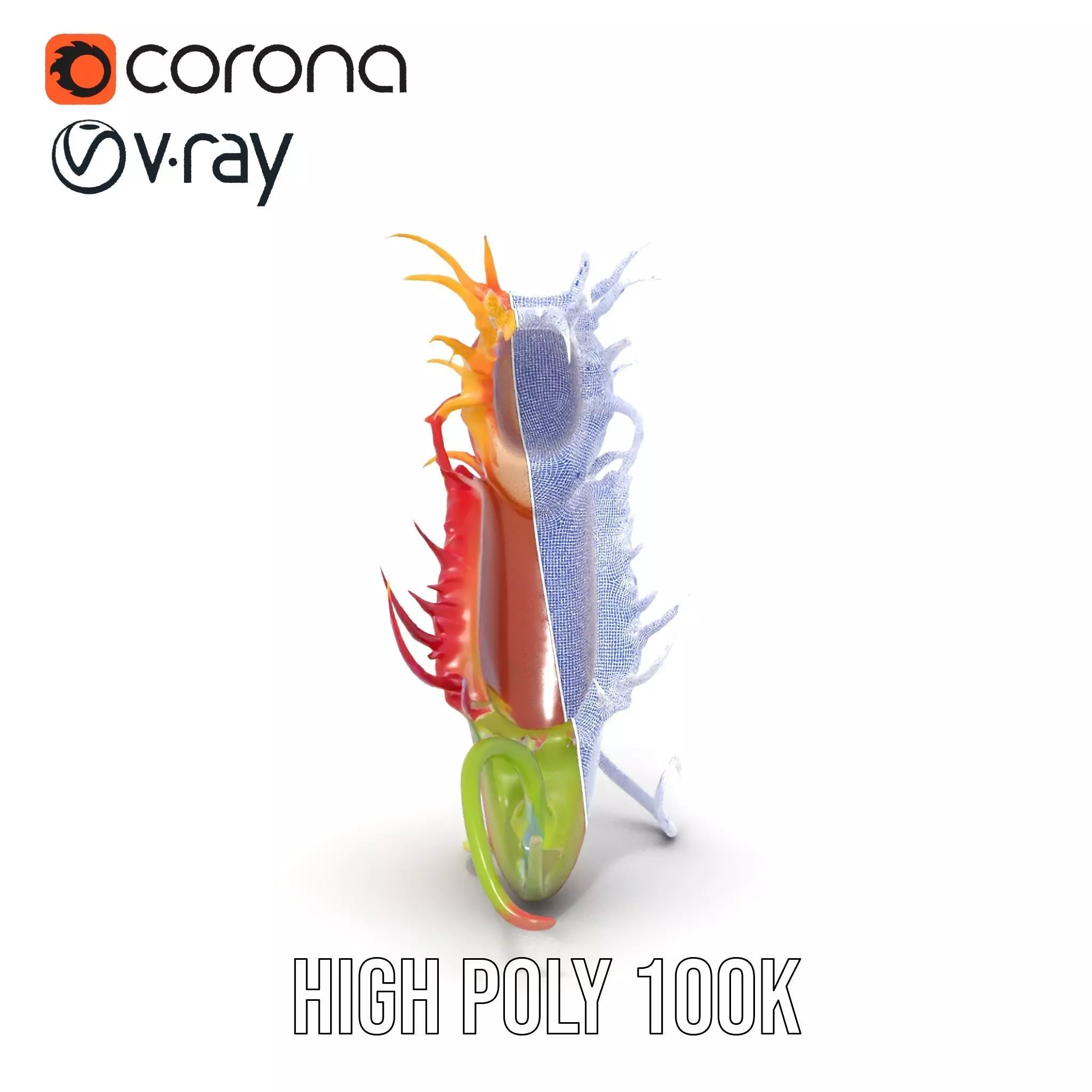 Vibrant Venus Flytrap model pack Low-poly 3D model_34