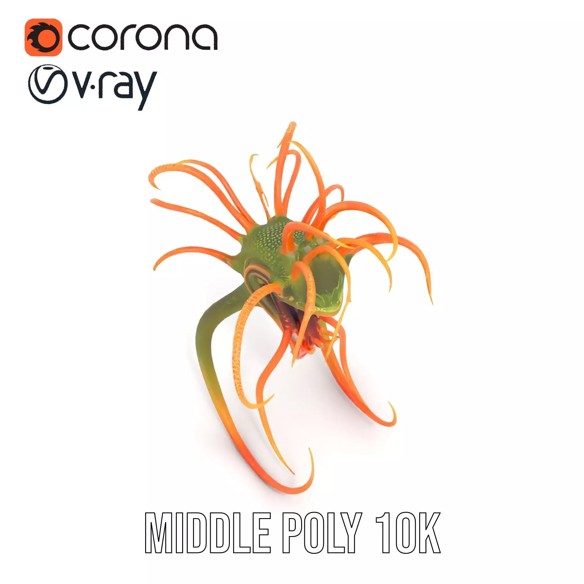 Vibrant Alien Creature model pack Low-poly 3D model_14