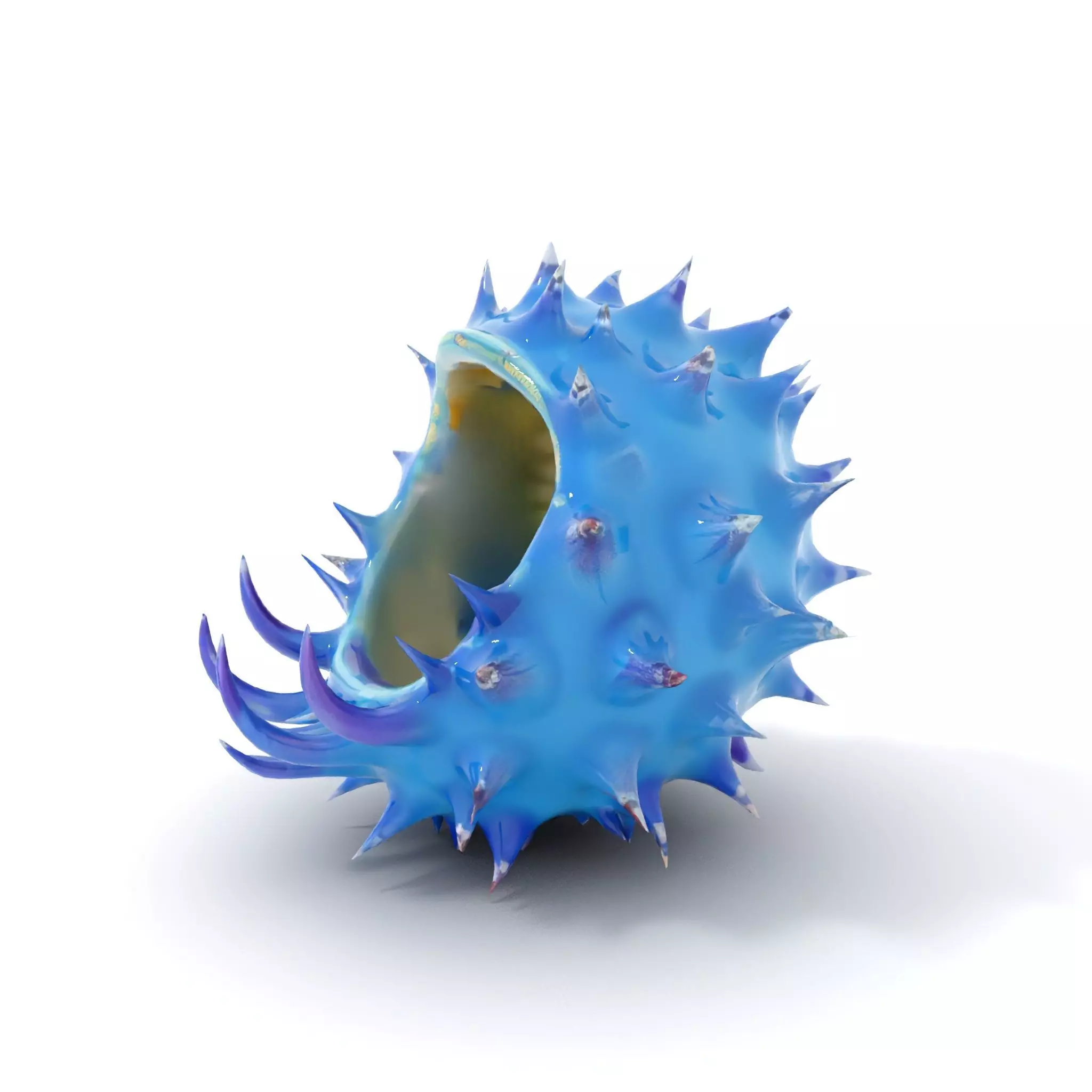 Spiked Blue Shell model pack Low-poly 3D model_6