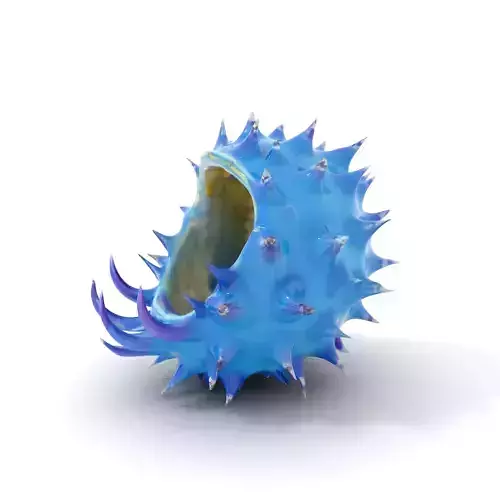 Spiked Blue Shell model pack Low-poly 3D model Spiked Blue Shell model pack Low-poly 3D model