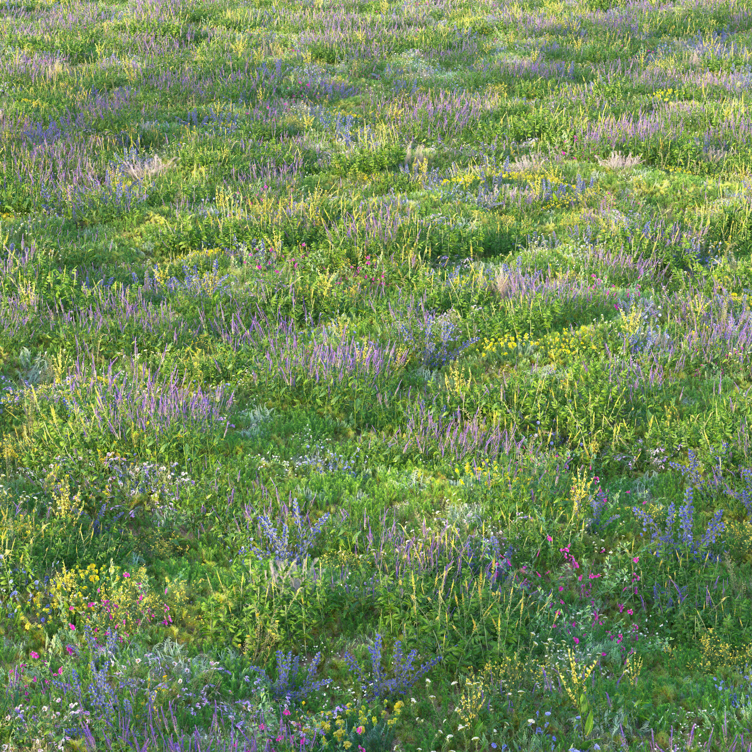 Meadow grass with flowers 3 3D model_0