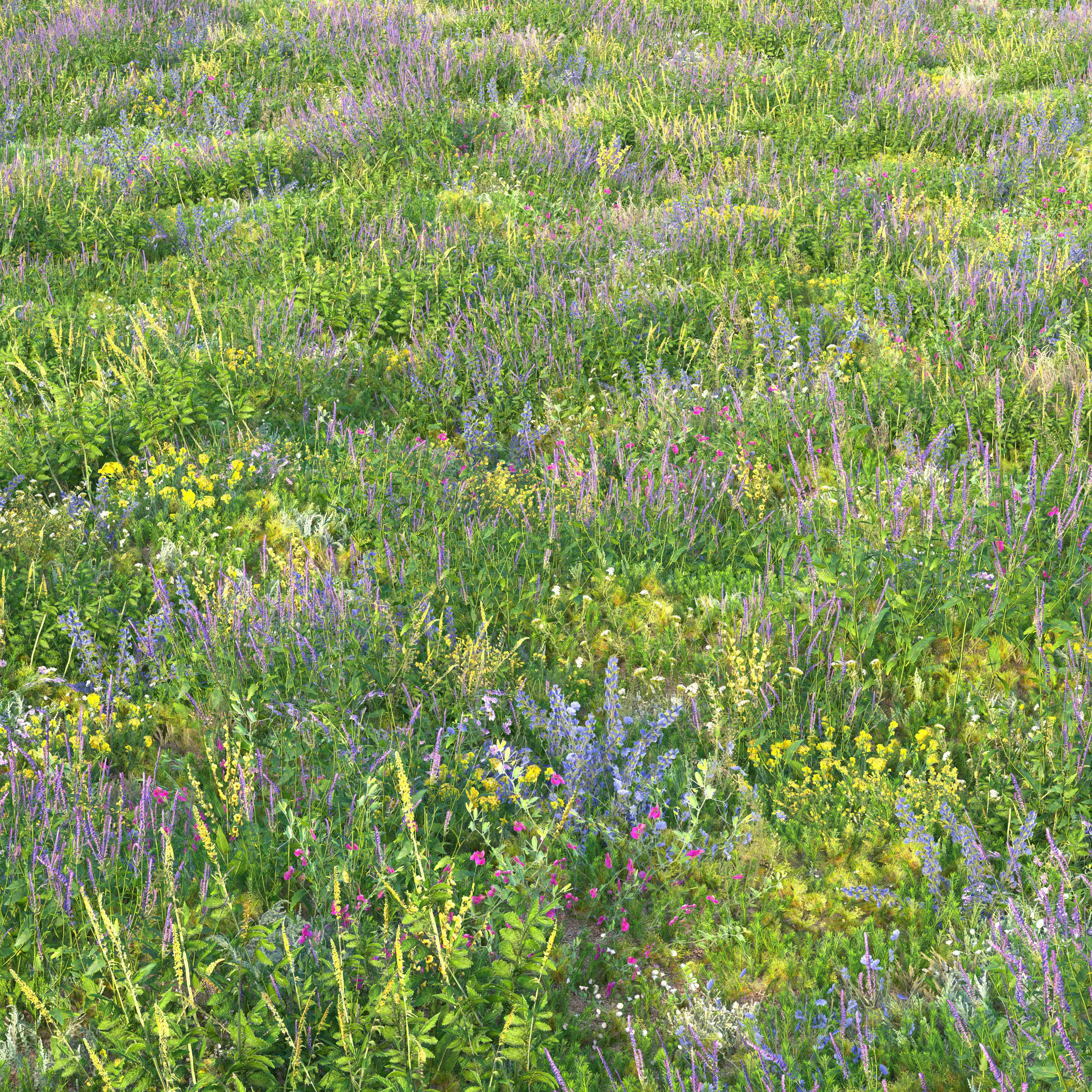Meadow grass with flowers 3 3D model_7