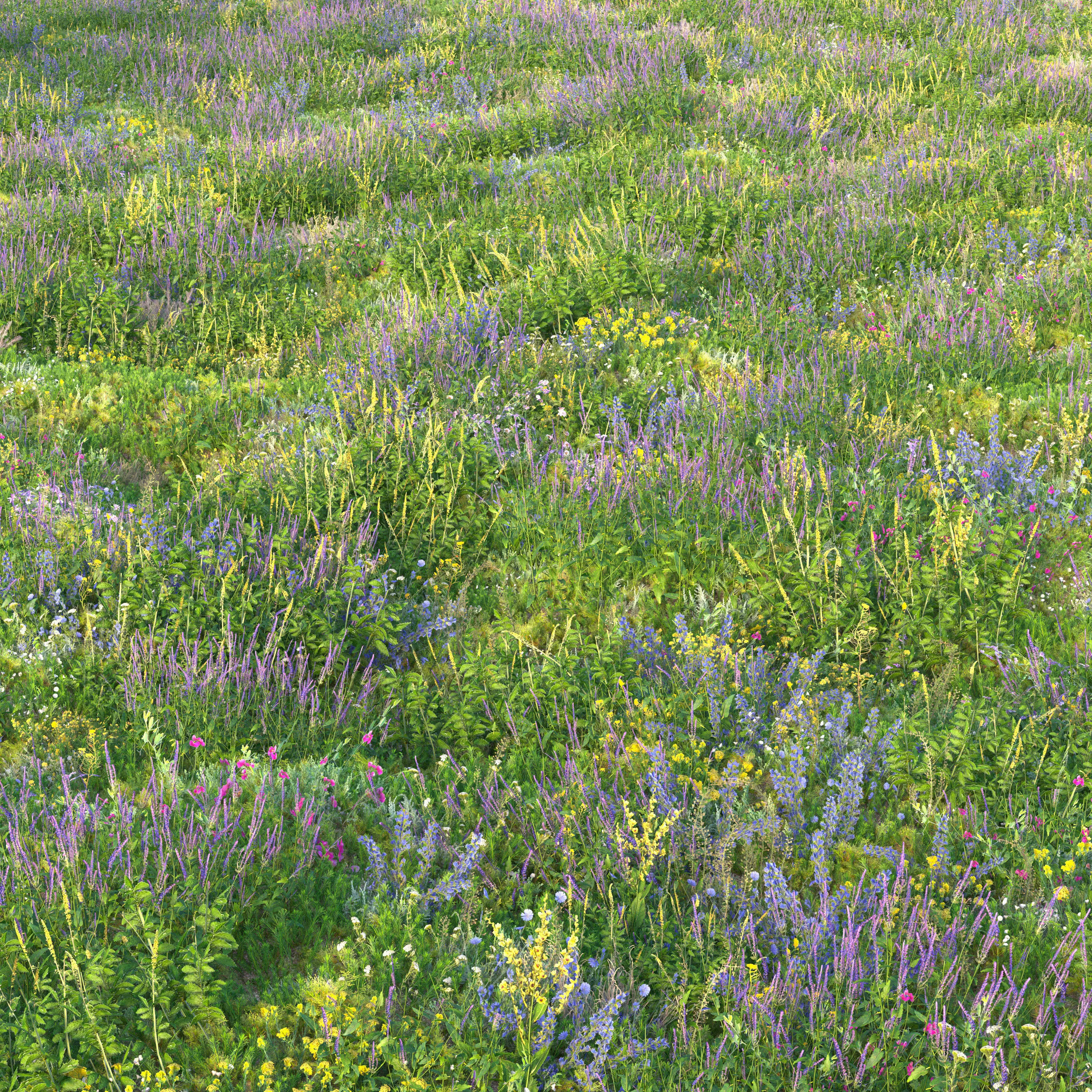Meadow grass with flowers 3 3D model_5