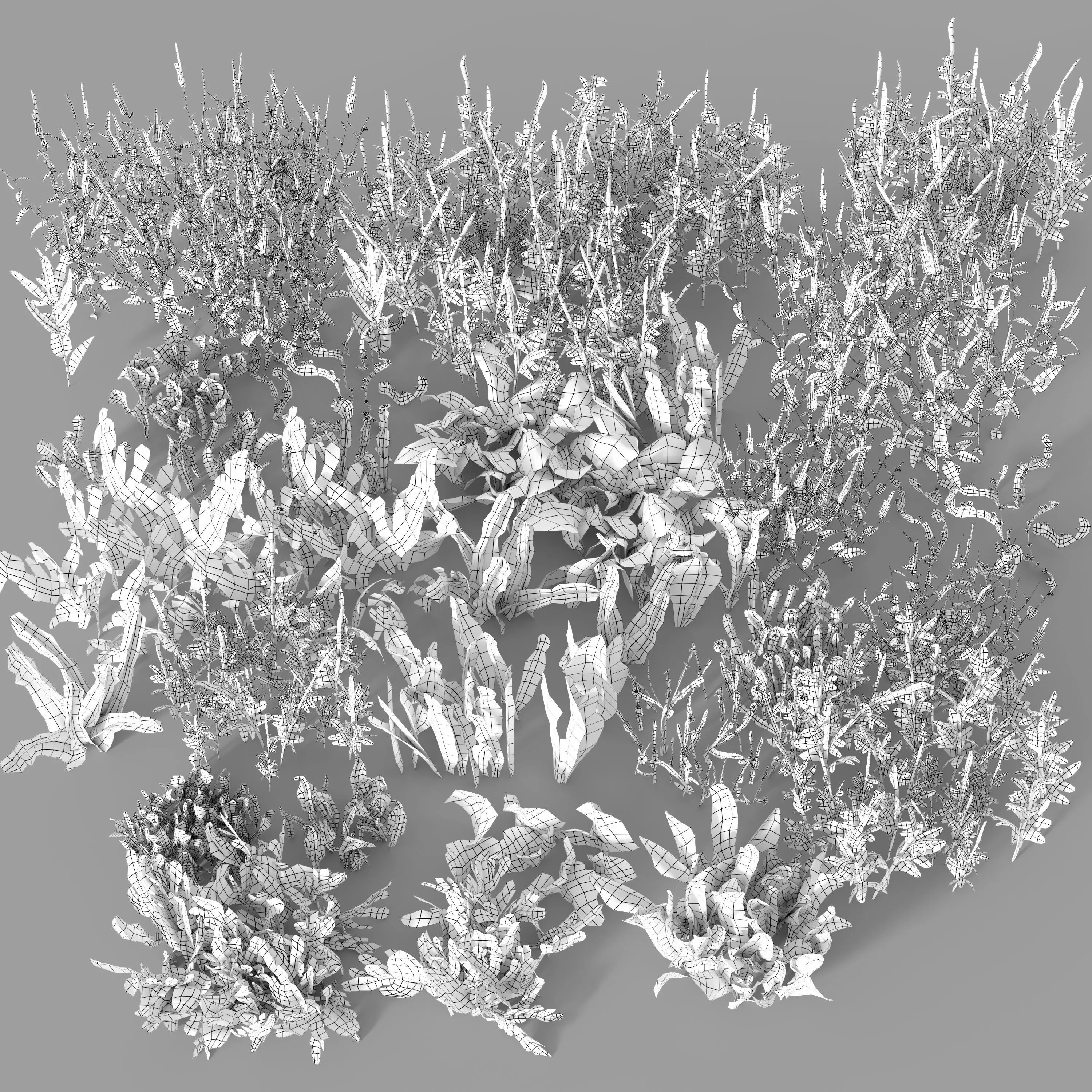 Meadow grass with flowers 3 3D model_9