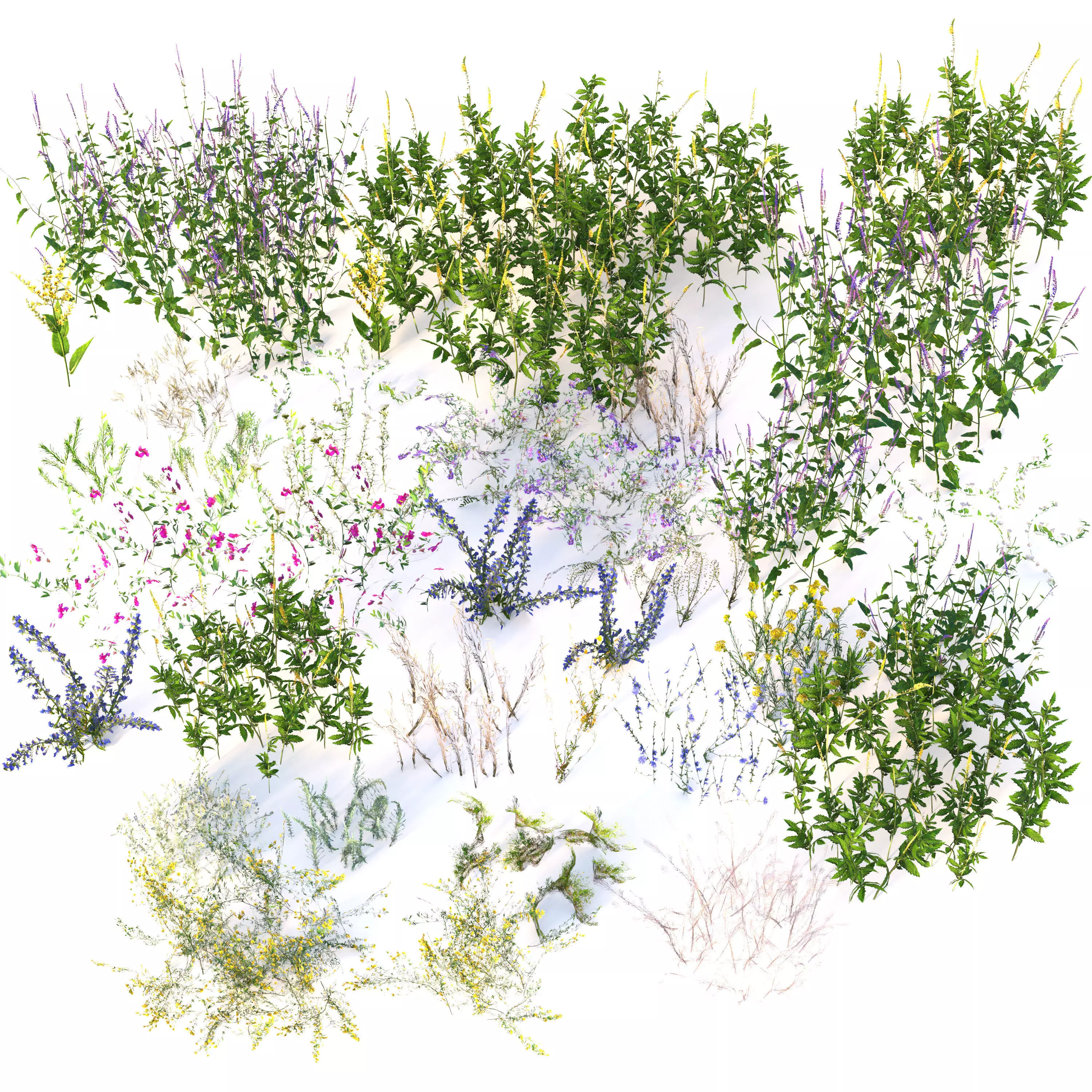 Meadow grass with flowers 3 3D model_8