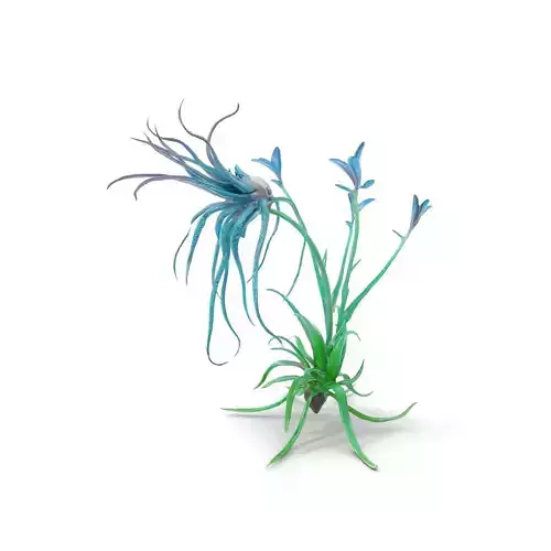 Teal Alien Plant model pack