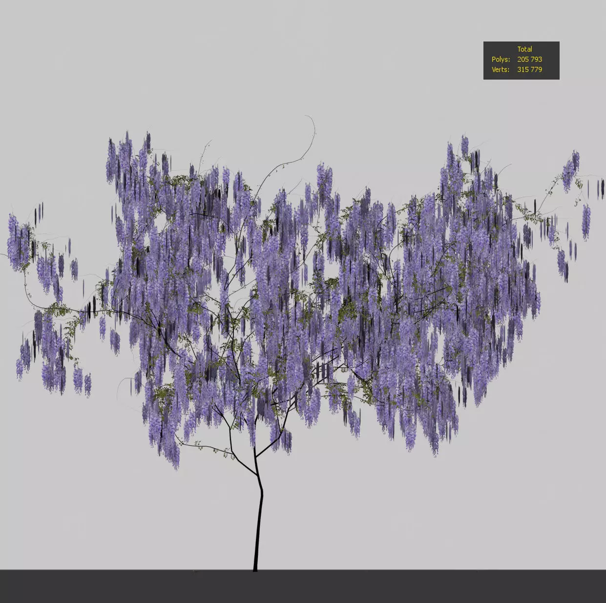 Wisteria for the wall 3D model_2