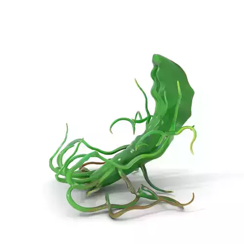 Alien Flora Green Curve model pack