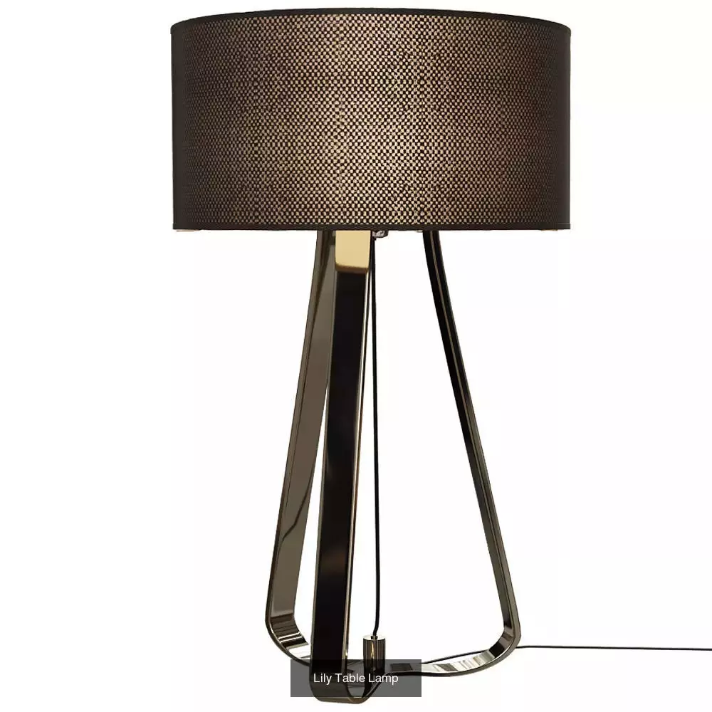 100 Table Lamp combo 3D Model 3D Model Collection_44